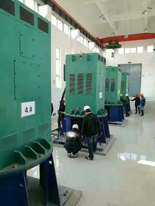 Y6301-4某污水处理厂使用我厂的立式高压电机安装现场