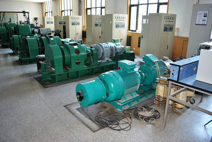 Y6301-4某热电厂使用我厂的YKK高压电机提供动力